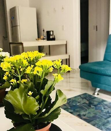 Apartamento No Andar Terreo Фос ду Игуасу Екстериор снимка