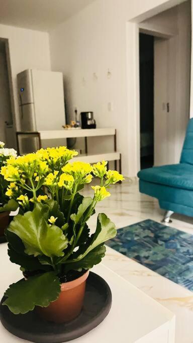Apartamento No Andar Terreo Фос ду Игуасу Екстериор снимка